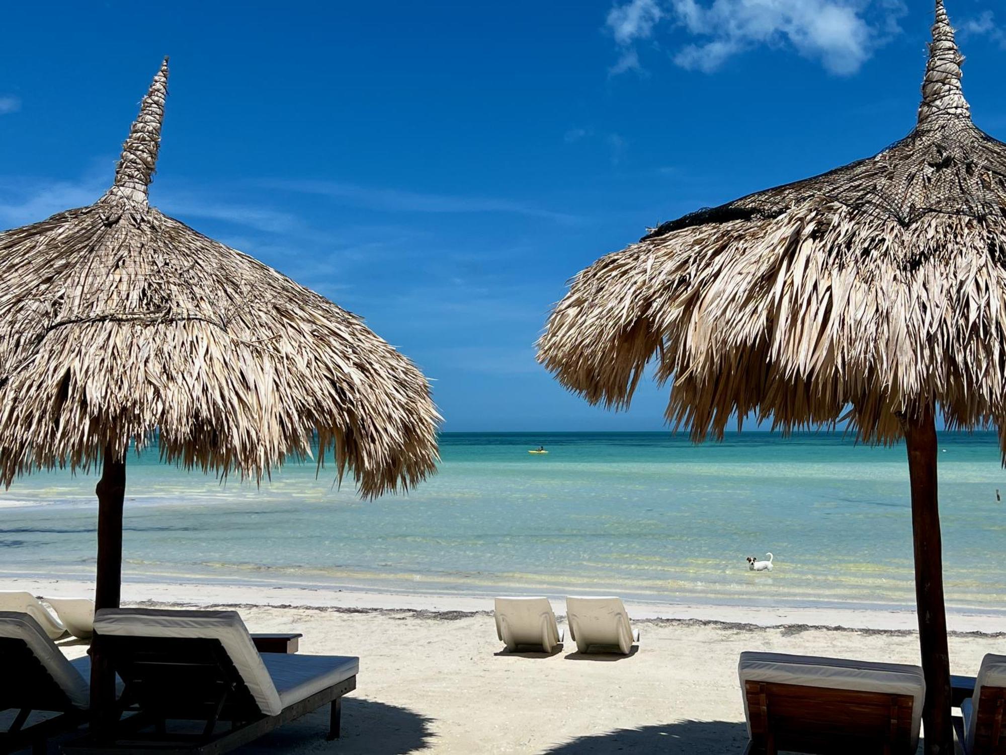 Palapas Del Sol Hotel Isla Holbox Ngoại thất bức ảnh